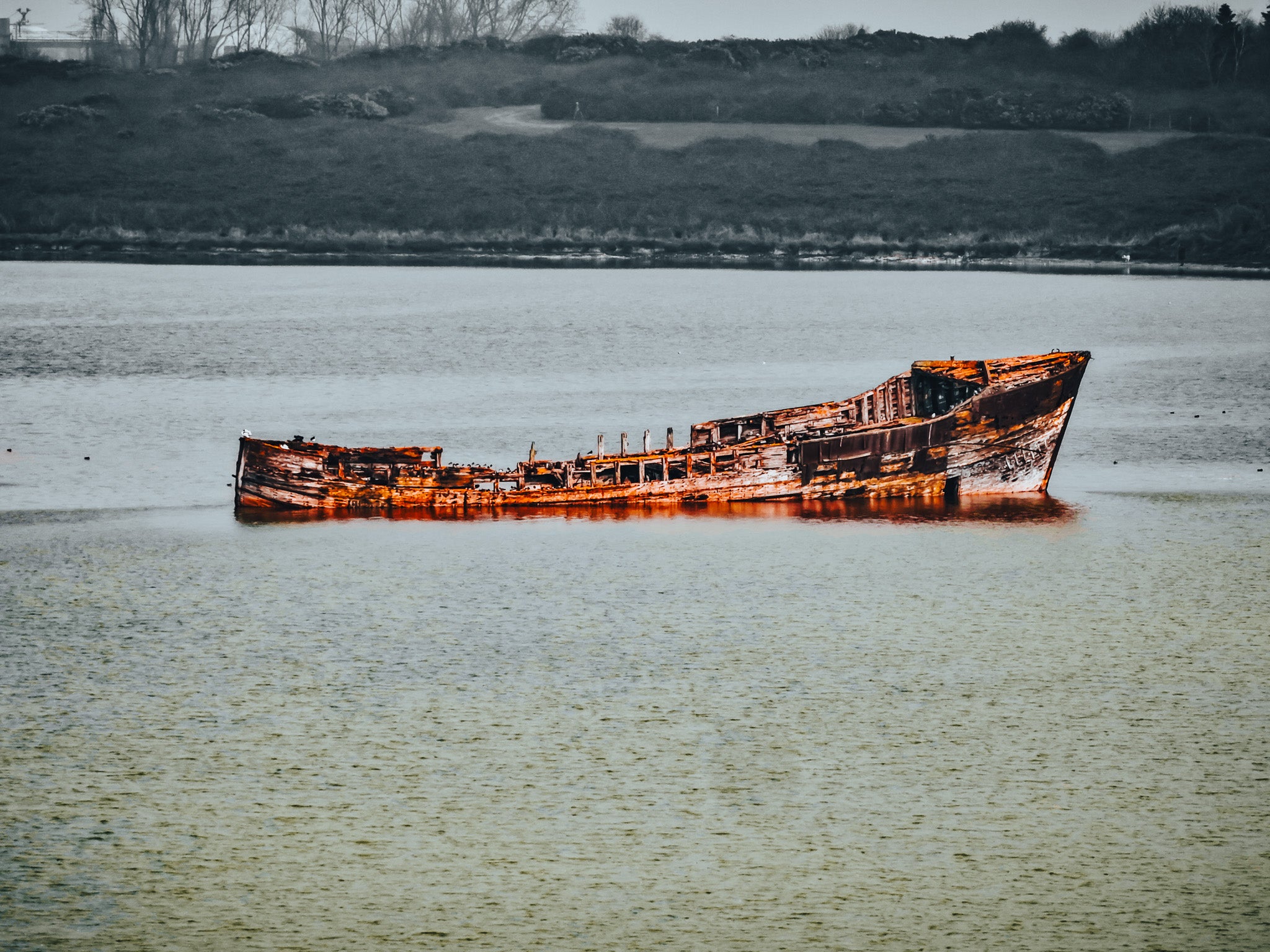 lonely ship wreck